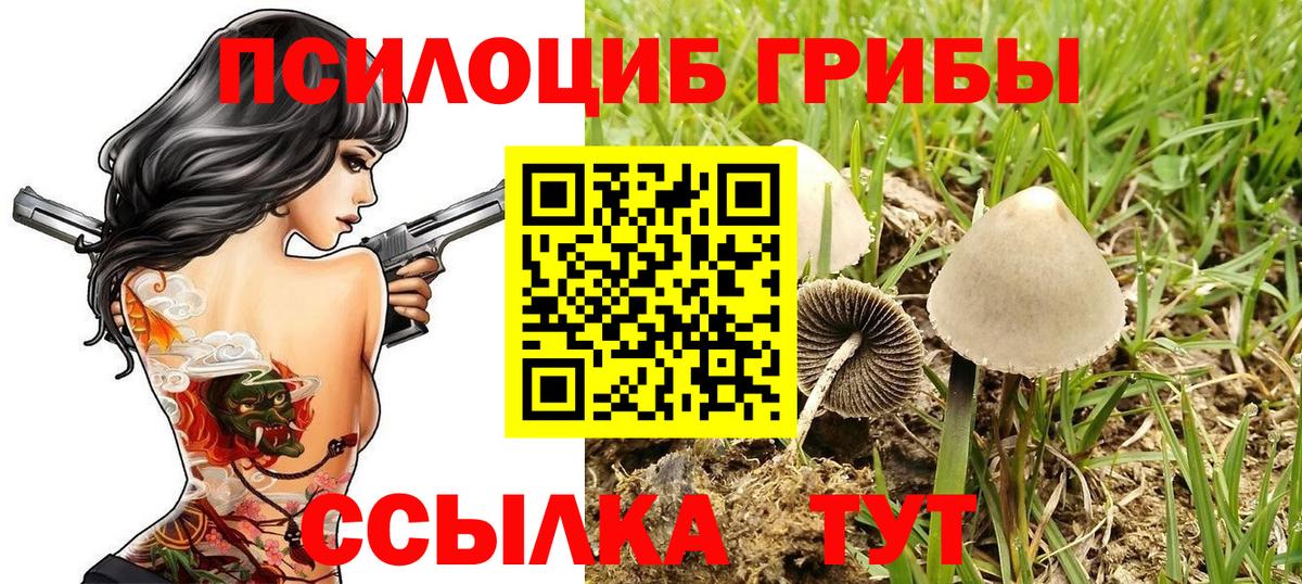 Галлюциногенные грибы Cubensis Орёл